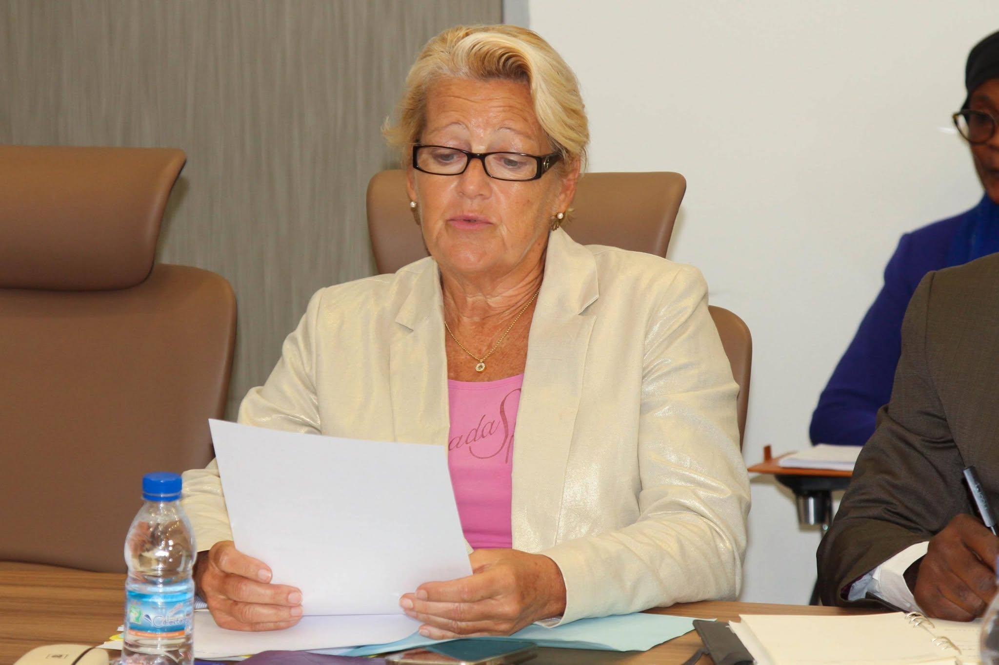 REVUE DE SUIVI DES DEPENSES D'INVESTISSEMENT DU MEFB