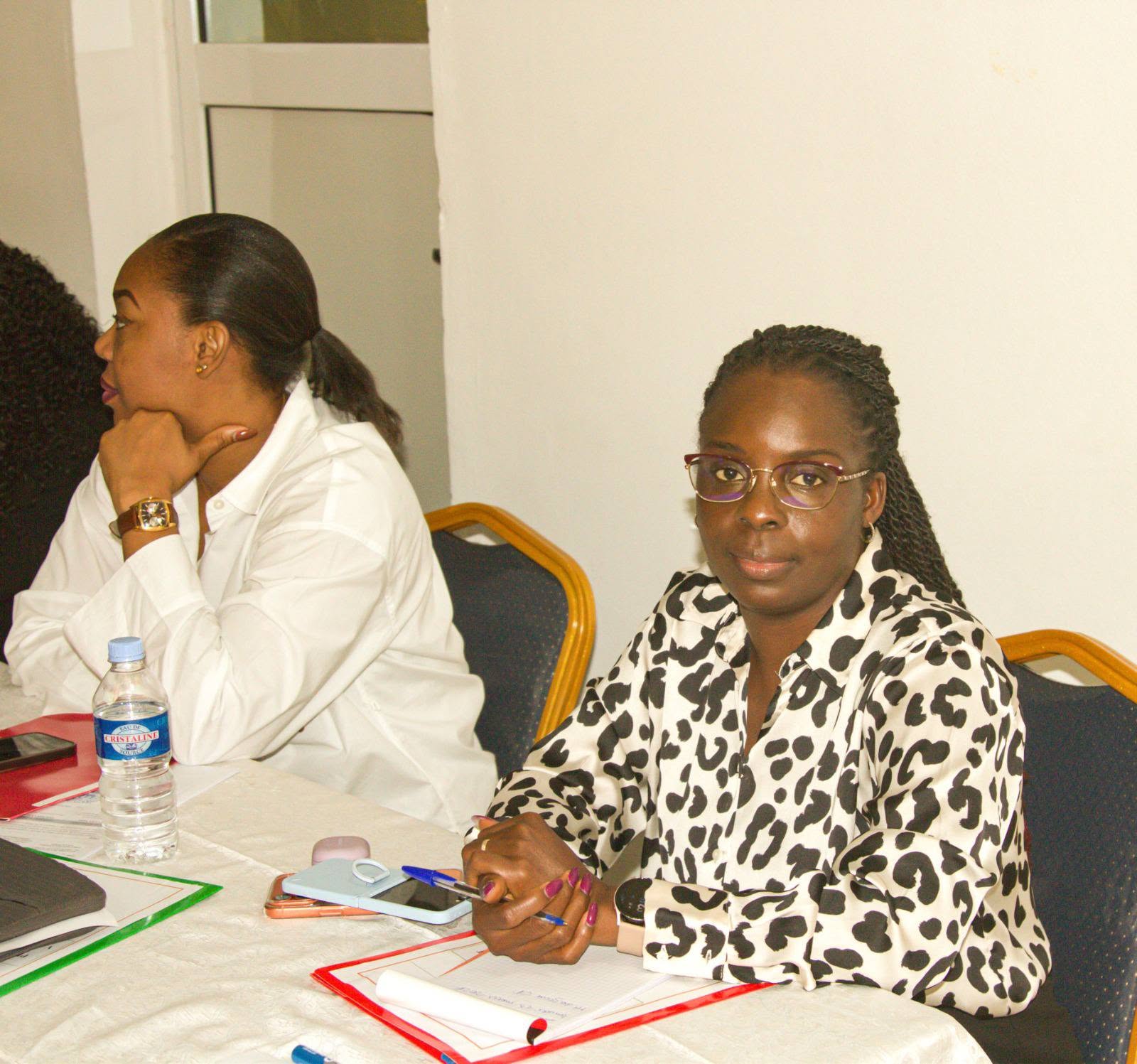 ATELIER DE VALIDATION DES PROJETS DE DPPD-PAP ET DE DPCP 2027-2029